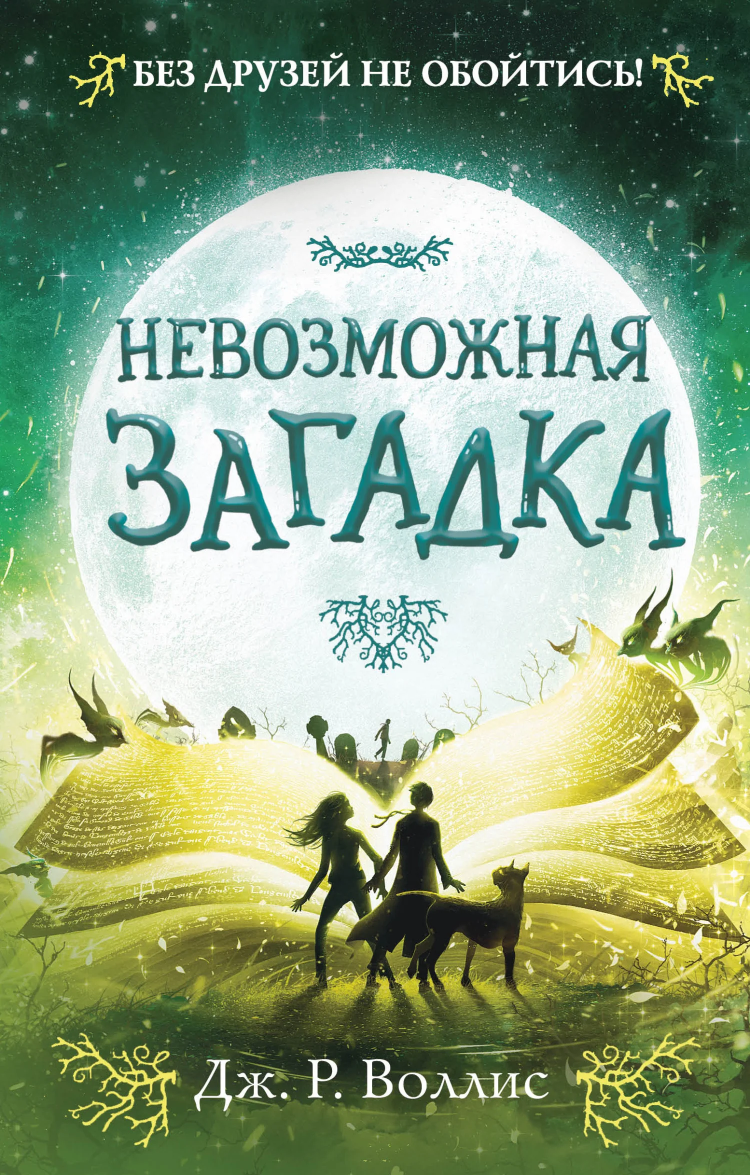 Обложка Невозможная загадка