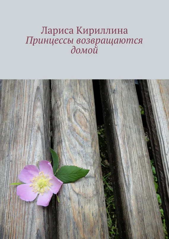 Обложка Принцессы возвращаются домой