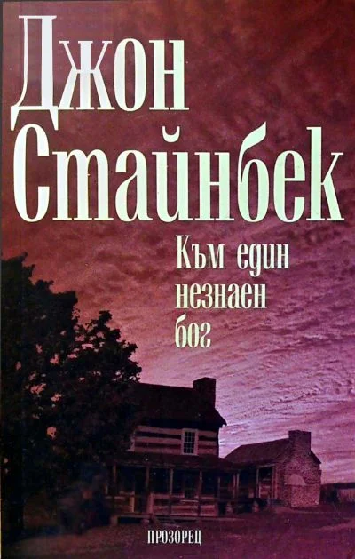 Обложка Към един незнаен бог