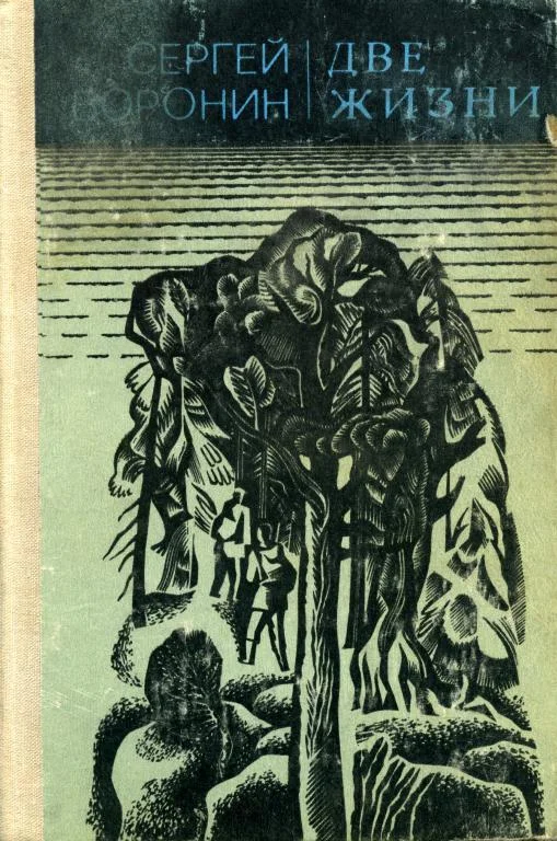 Обложка Две жизни