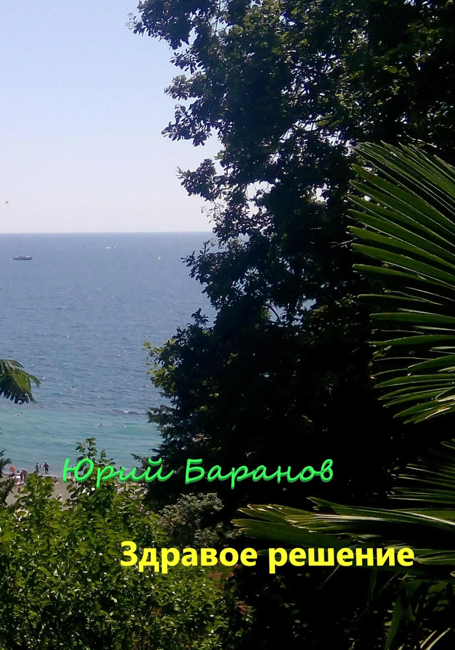 Обложка Здравое решение