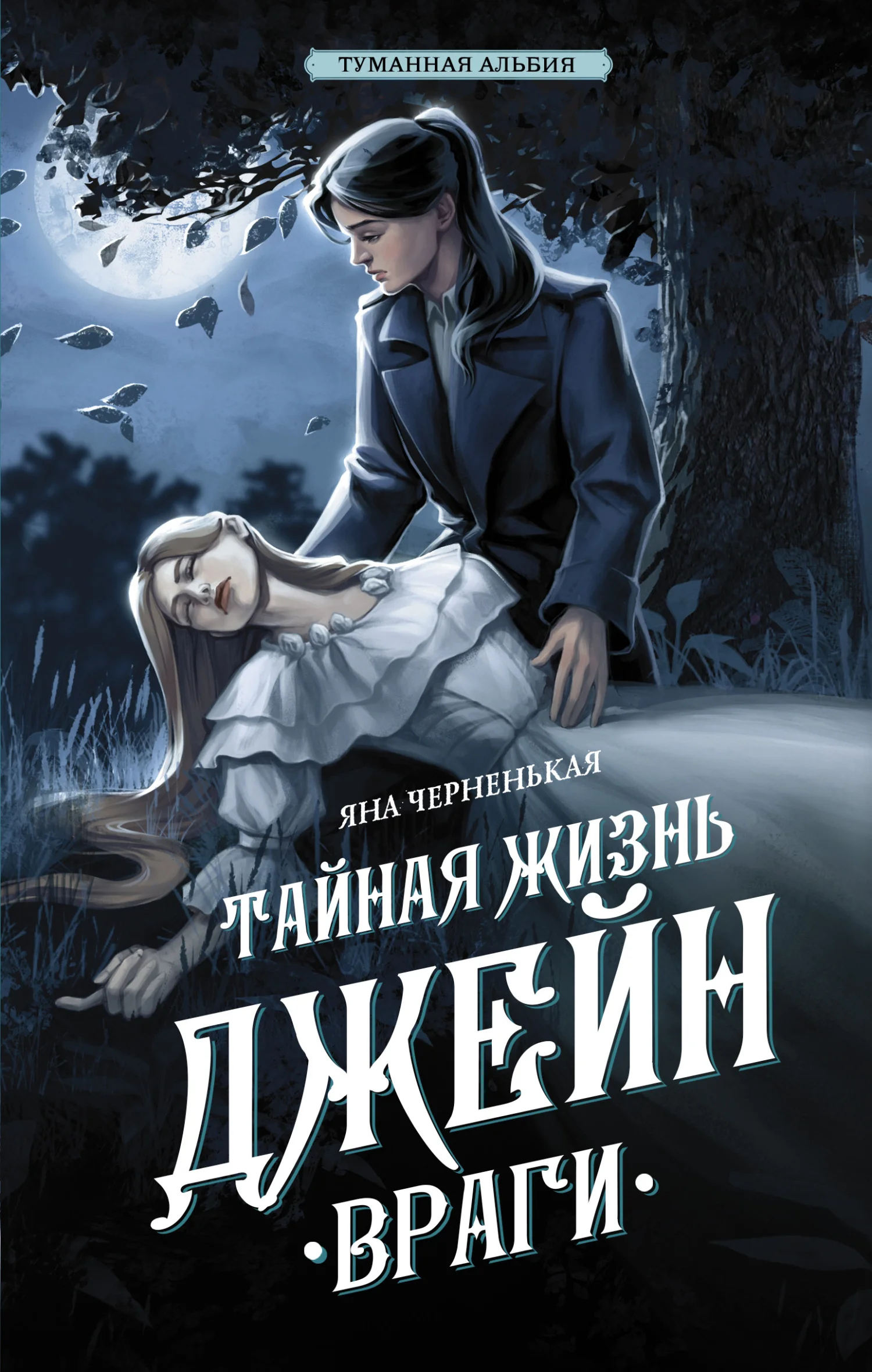 Обложка Тайная жизнь Джейн. Враги