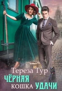 Обложка Черная кошка удачи