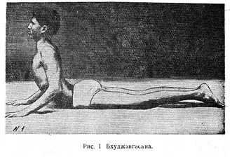 Обложка Санкхья и йога