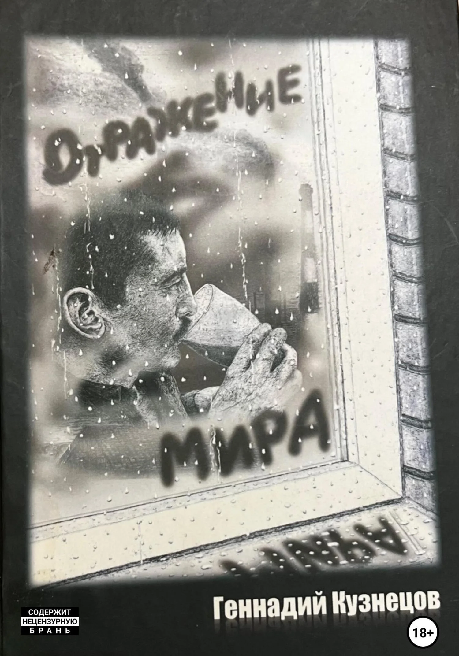 Обложка Отражение мира