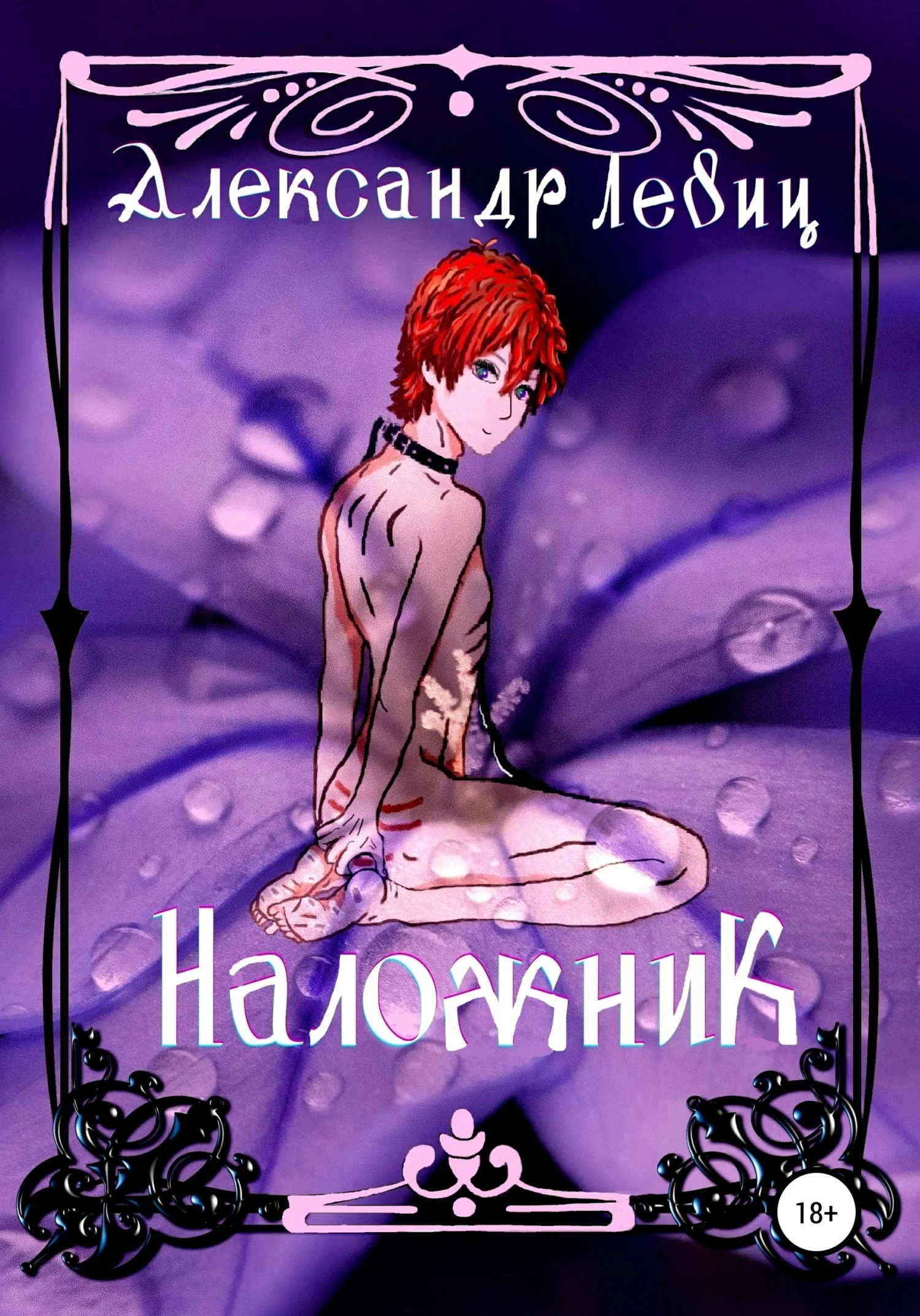 Обложка Наложник