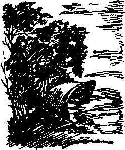 Обложка На берегу Уршдона