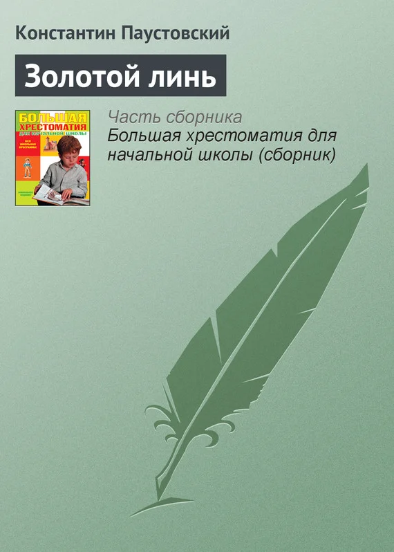 Обложка Золотой линь