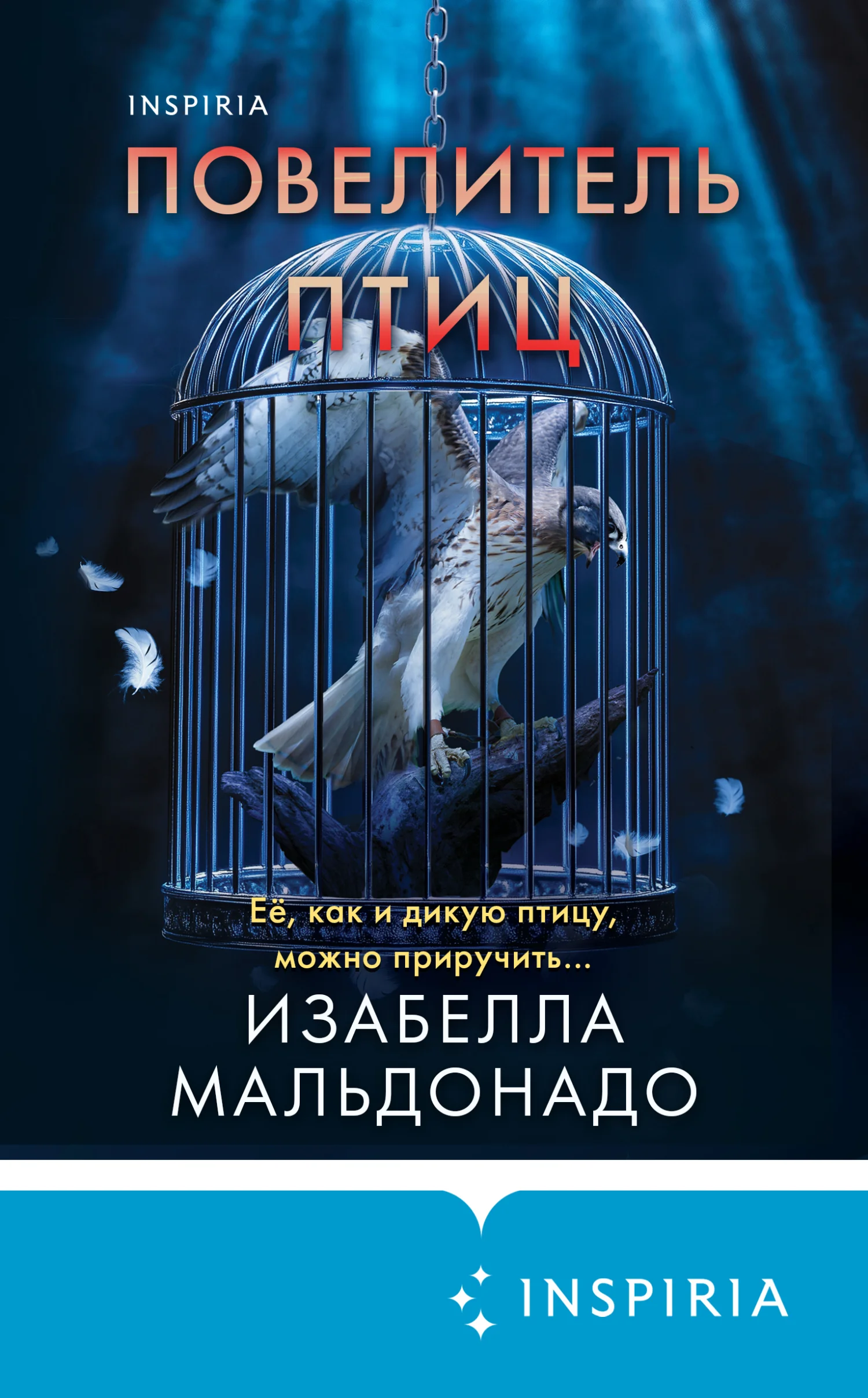 Обложка Повелитель птиц