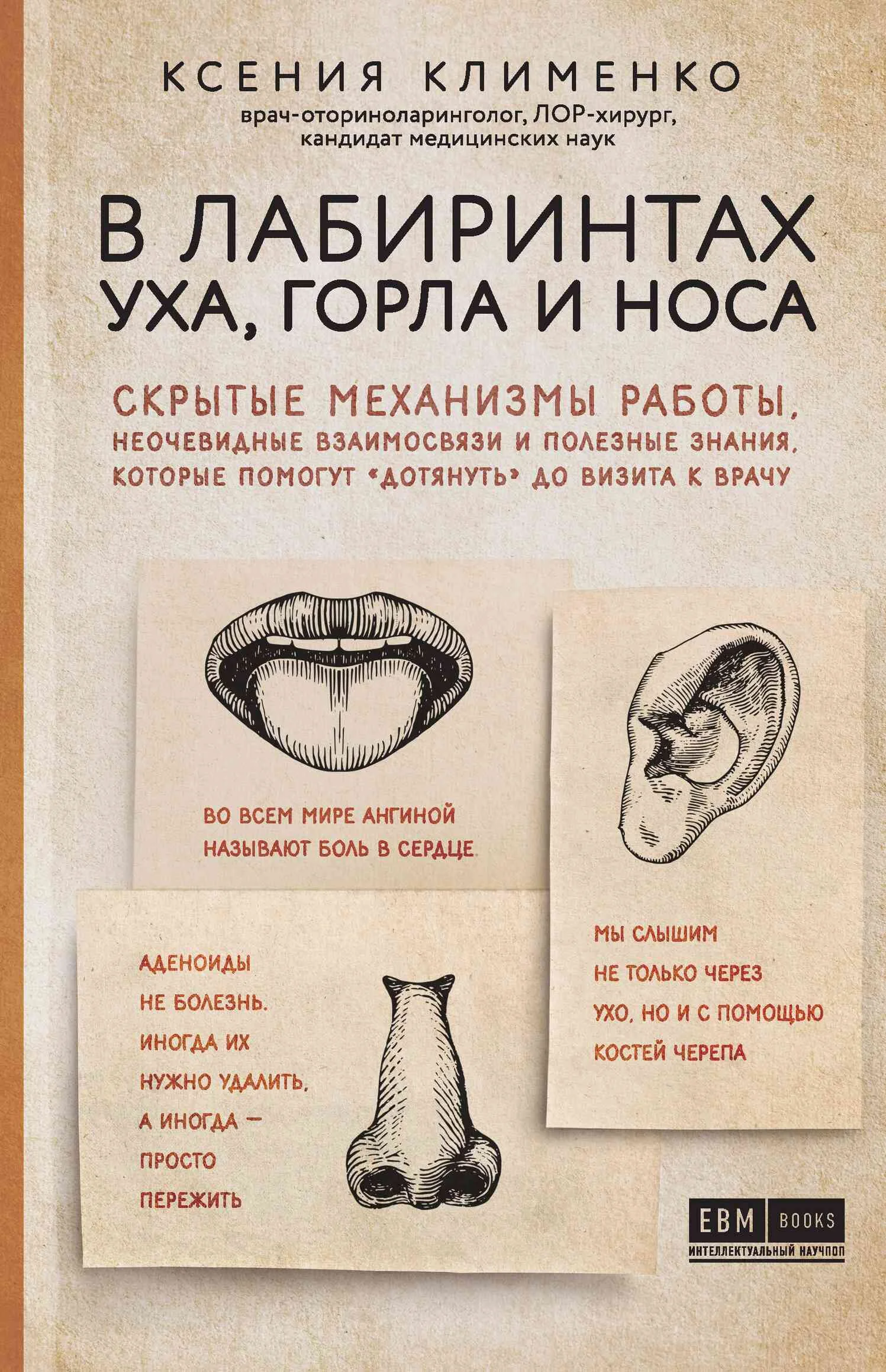 Обложка В лабиринтах уха, горла и носа. Скрытые механизмы работы, неочевидные взаимосвязи и полезные знания, которые помогут «дотянуть» до визита к врачу