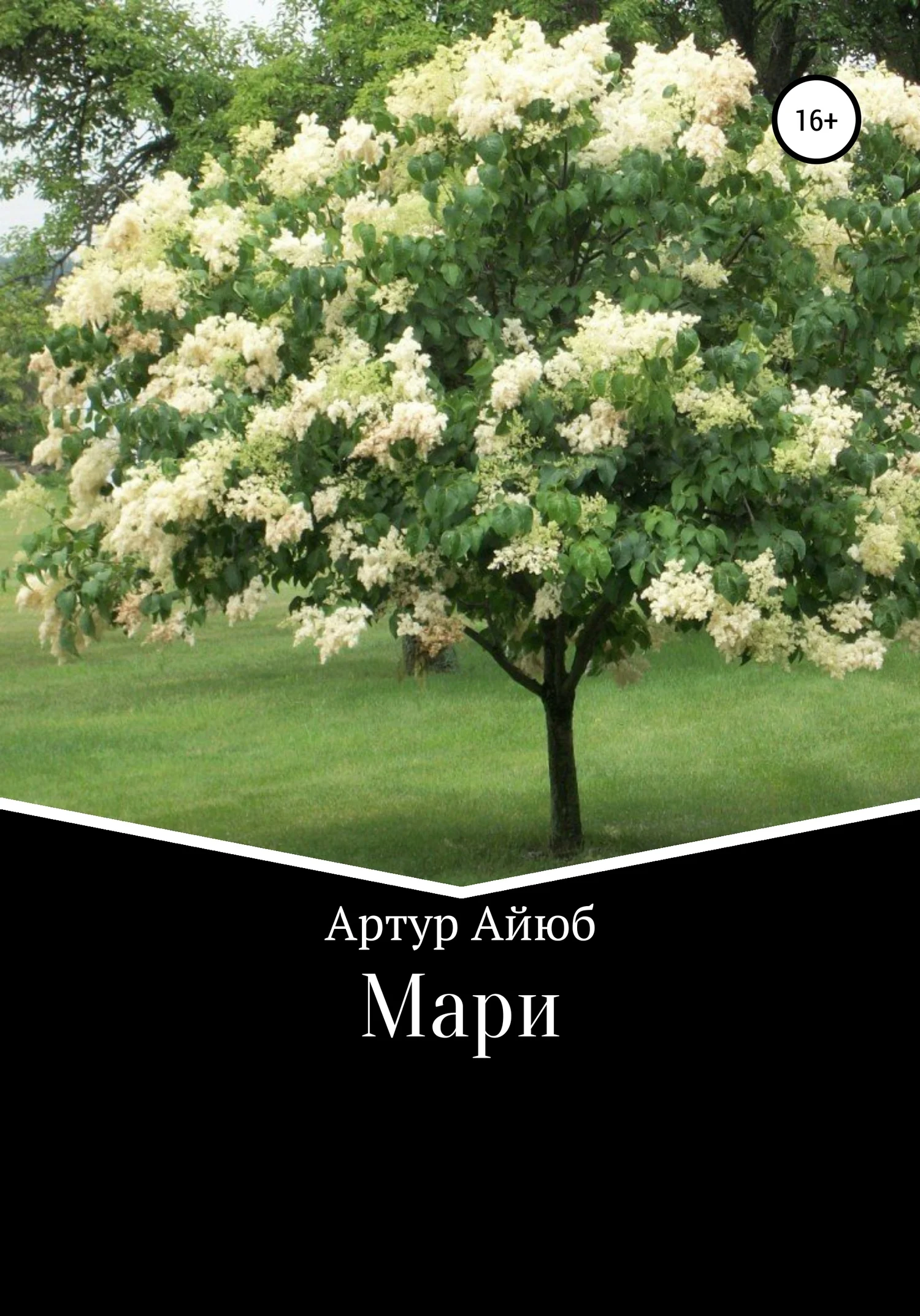 Обложка Мари