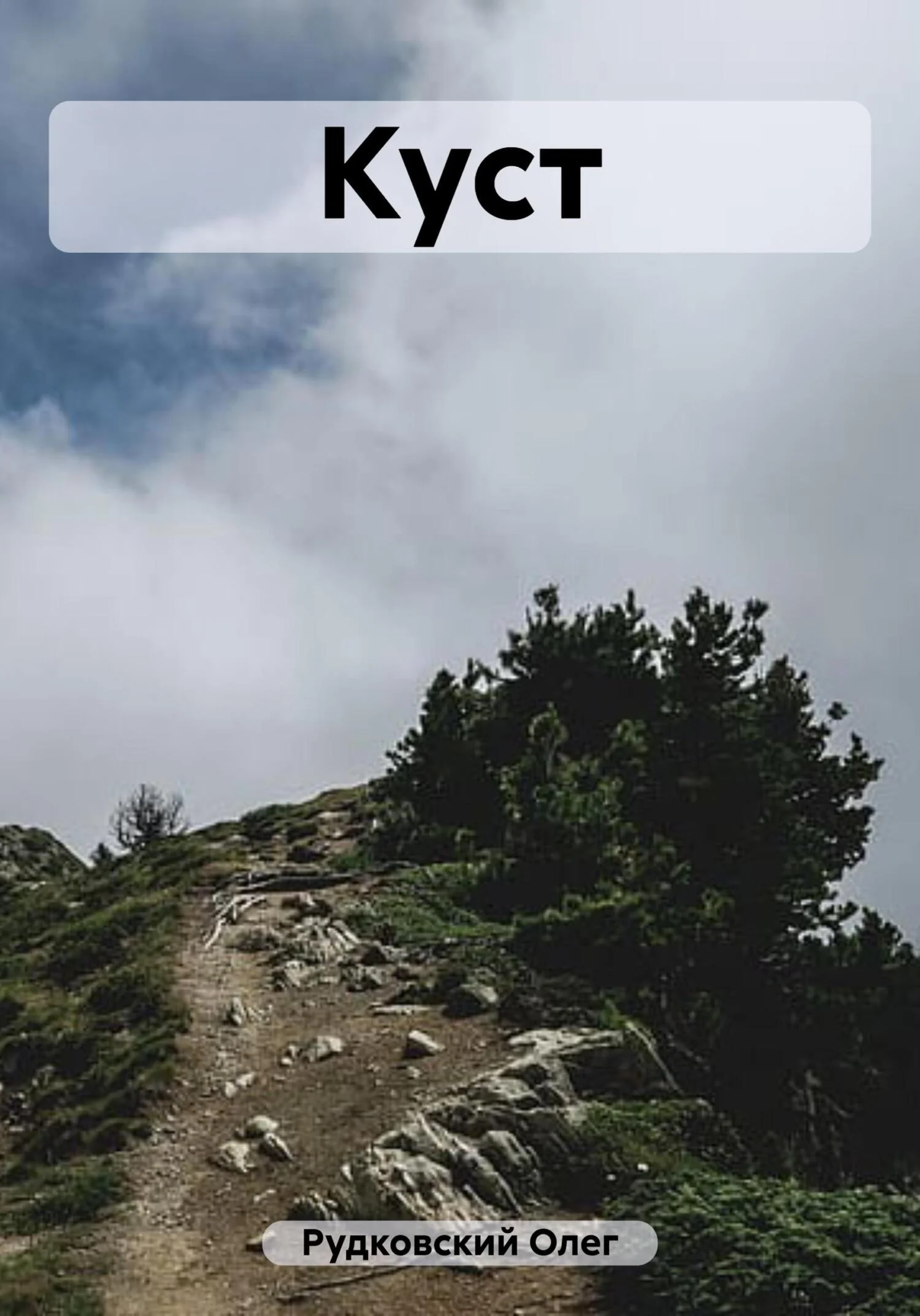 Обложка Куст