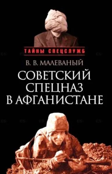 Обложка Советский спецназ в Афганистане
