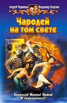 Обложка Чародей на том свете