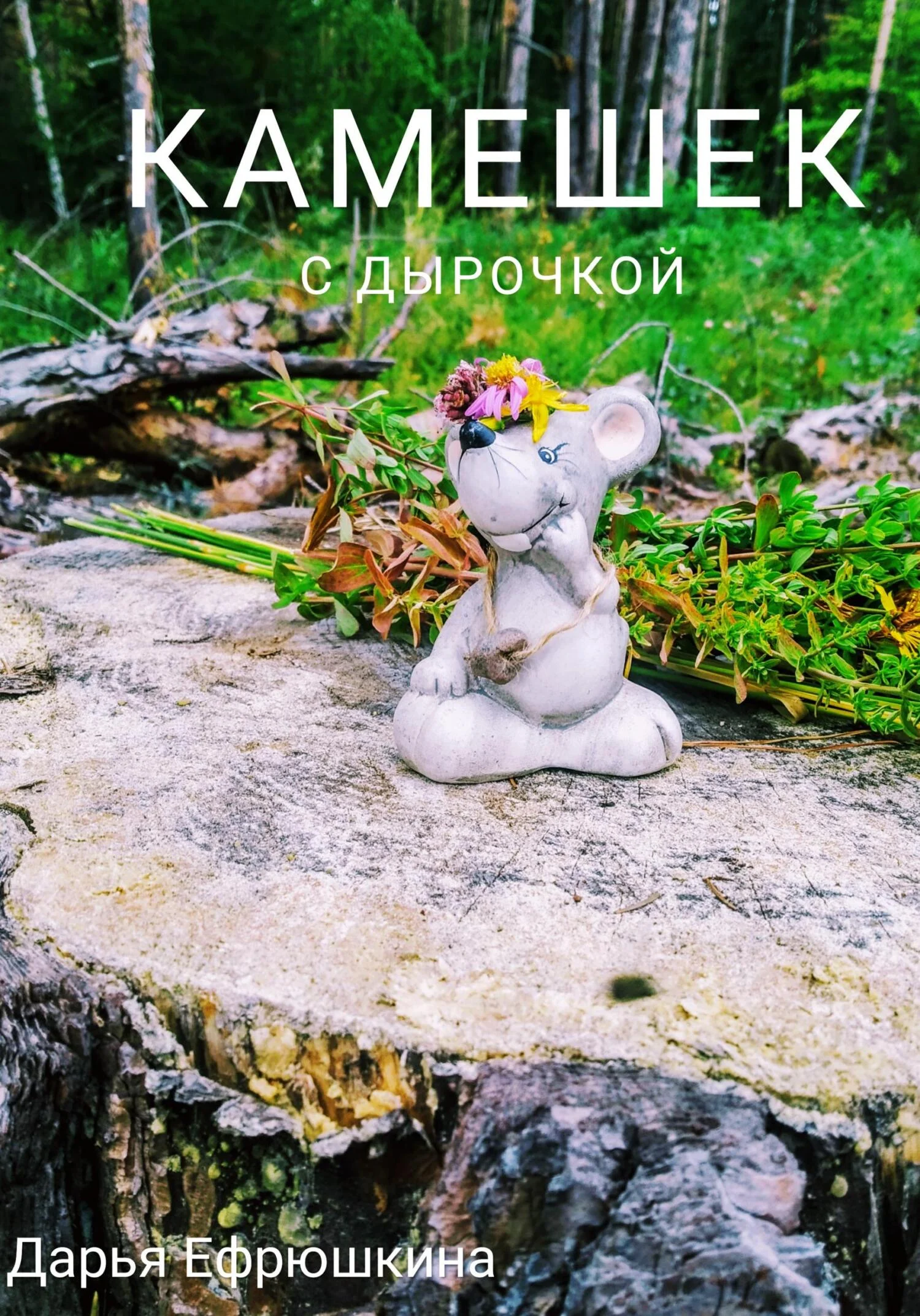 Обложка Камешек с дырочкой