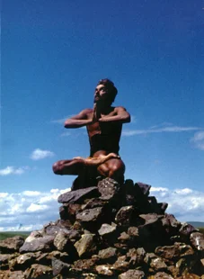 Обложка Живучий заяц