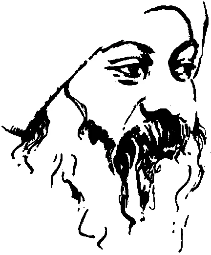 Обложка Манифест Дзен. Свобода от себя