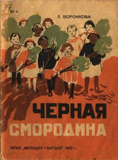 Обложка Черная смородина