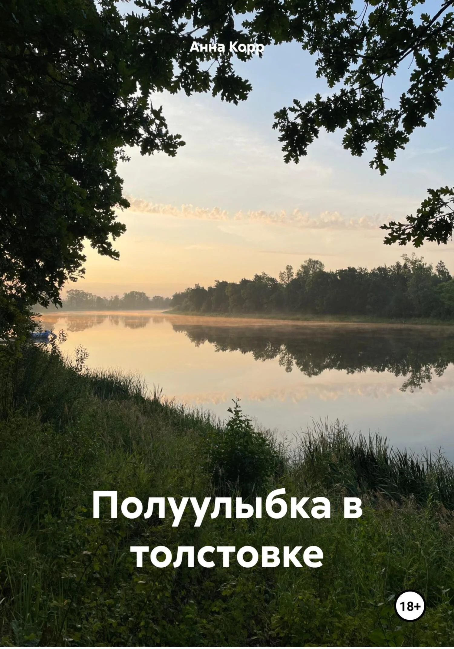 Обложка Полуулыбка в толстовке