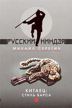 Обложка Стиль барса