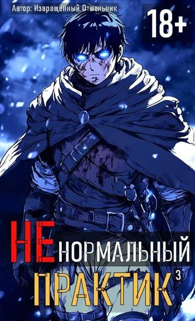 Обложка Ненормальный практик 3