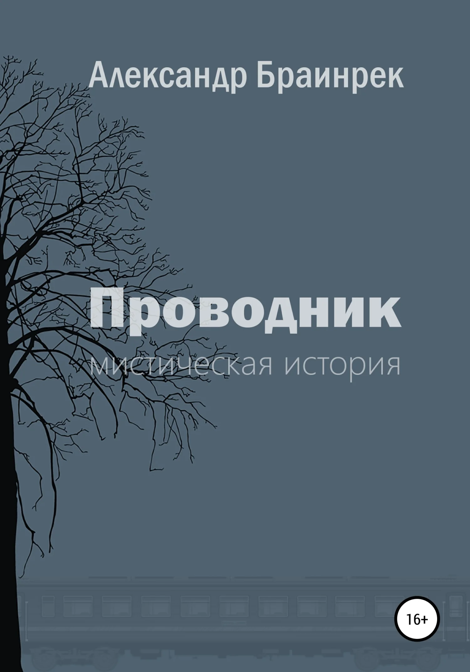 Обложка Проводник