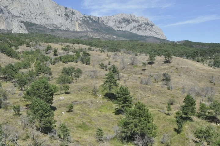 Обложка 4 Крыма