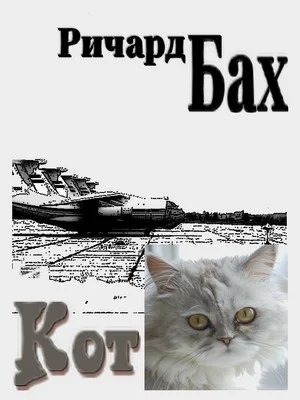 Обложка Кот