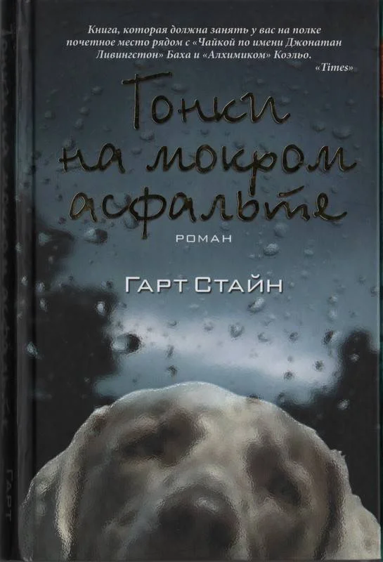 Обложка Гонки на мокром асфальте