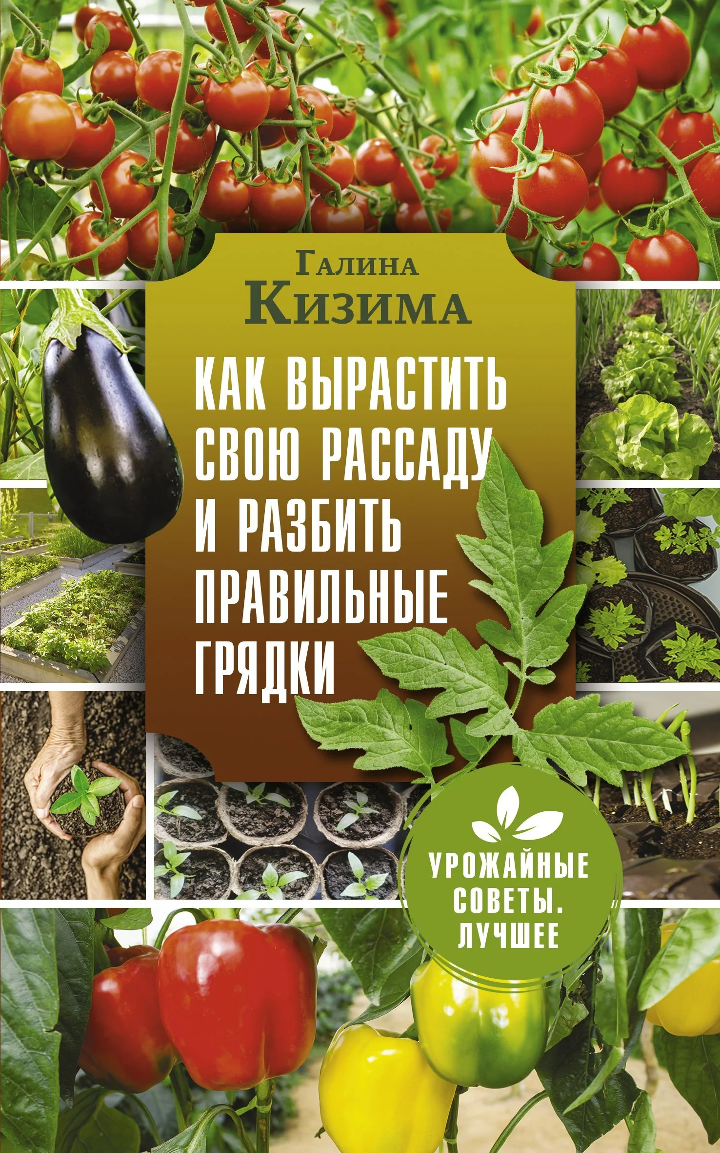 Обложка Как вырастить свою рассаду и разбить правильные грядки