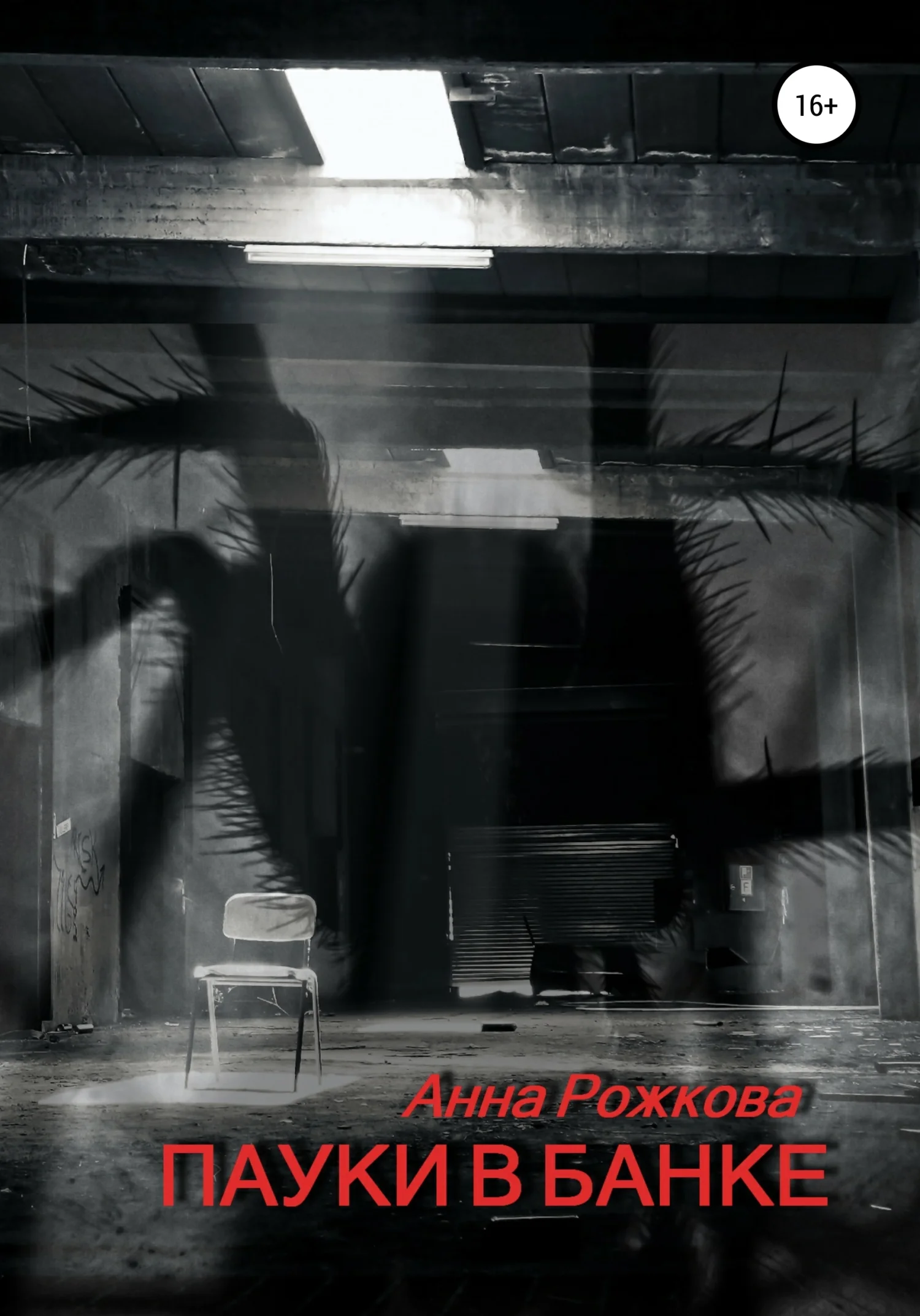 Обложка Пауки в банке