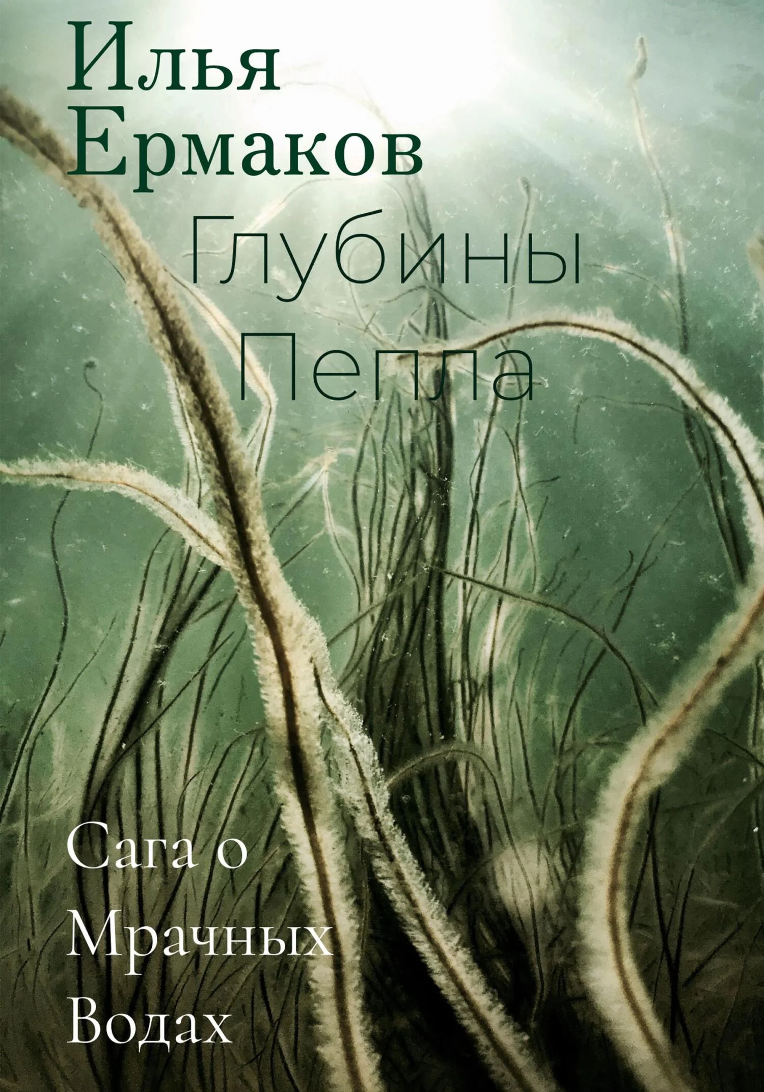 Обложка Сага о Мрачных Водах. Глубины Пепла
