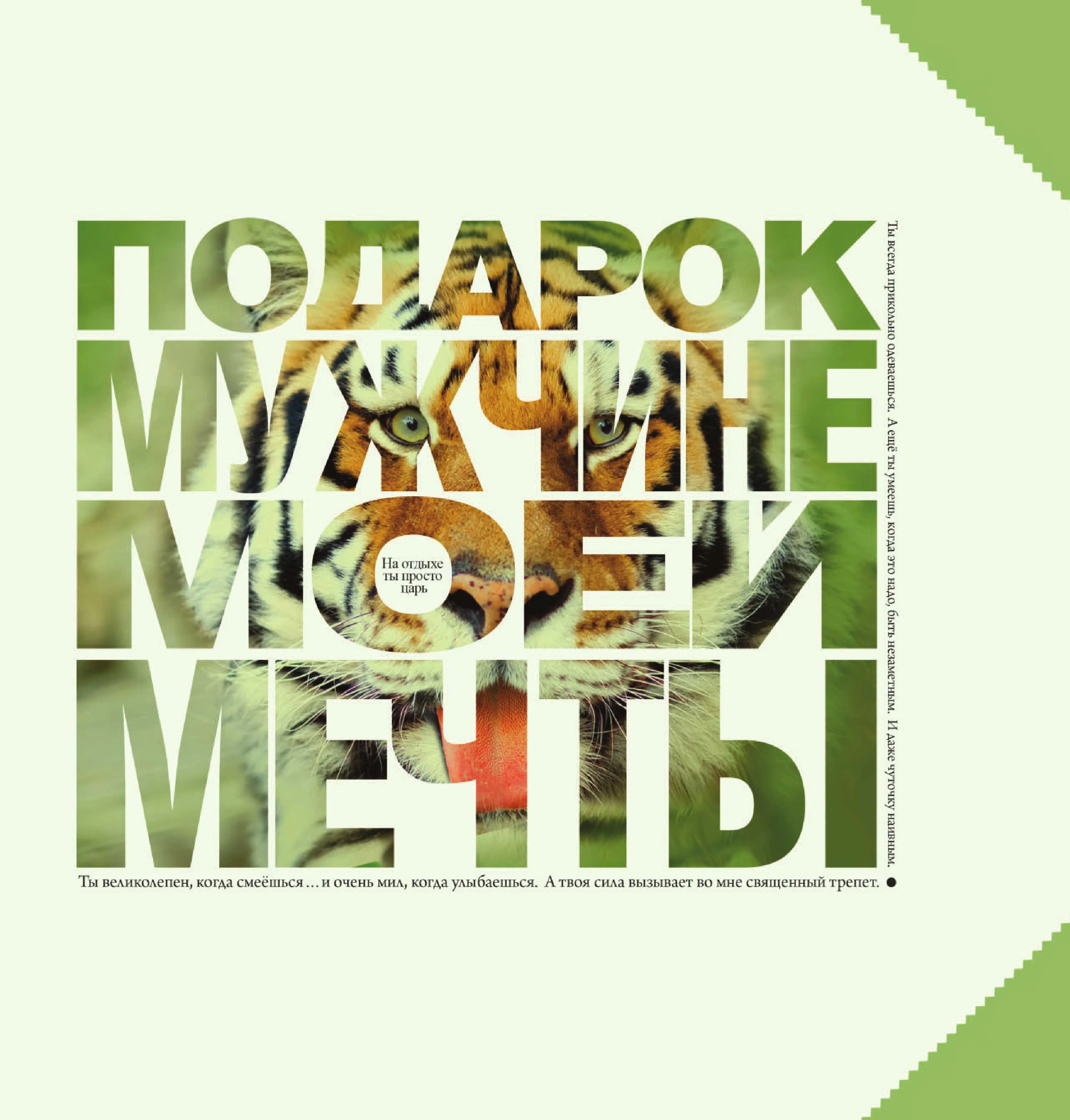 Обложка Подарок мужчине моей мечты