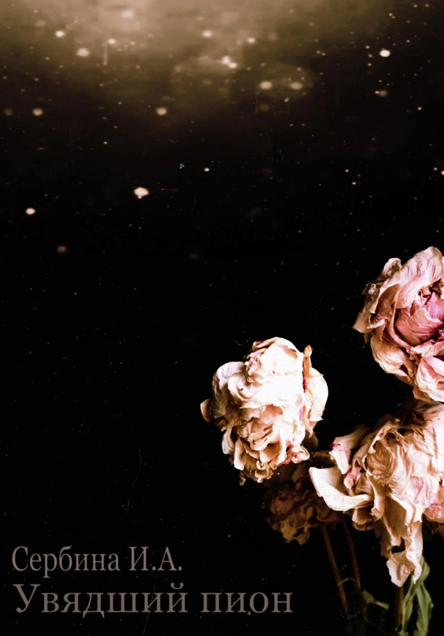 Обложка Увядший пион