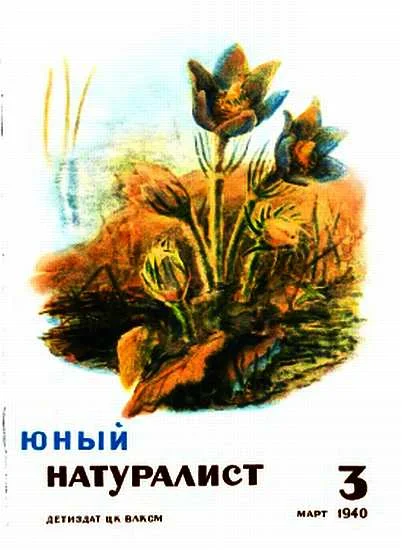 Обложка Журнал "Юный натуралист" №3, 1940