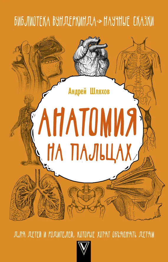 Обложка Анатомия на пальцах