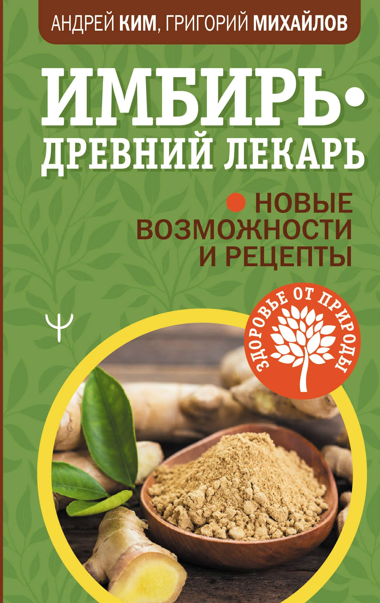 Обложка Имбирь – древний лекарь. Новые возможности и рецепты