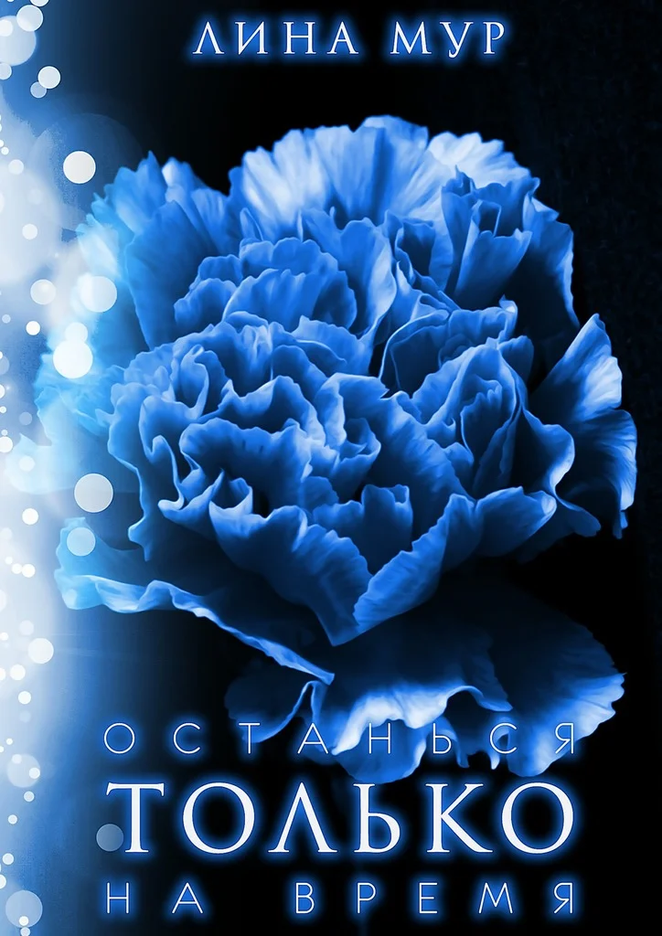 Обложка Останься только на время