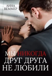 Обложка Мы никогда друг друга не любили