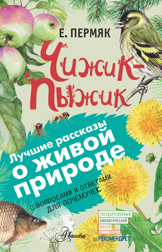 Обложка Чижик-Пыжик