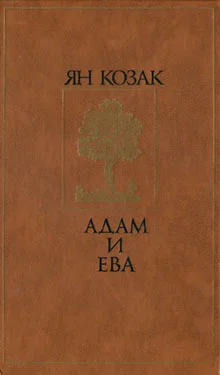 Обложка Адам и Ева