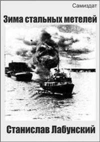 Обложка Зима стальных метелей