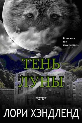 Обложка Тень луны
