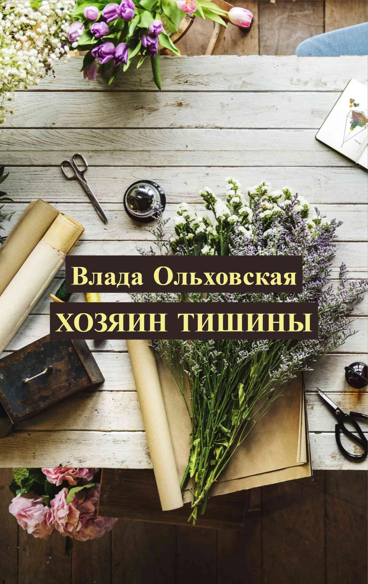 Обложка Хозяин тишины