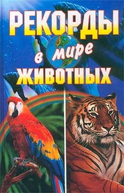 Обложка Рекорды в мире животных