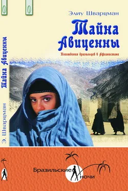 Обложка Тайна Авиценны. Похождения бразильцев в Афганистане