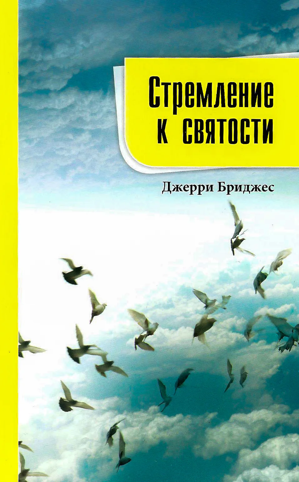 Обложка Стремление к святости