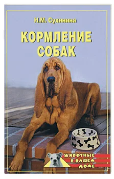Обложка Кормление собак
