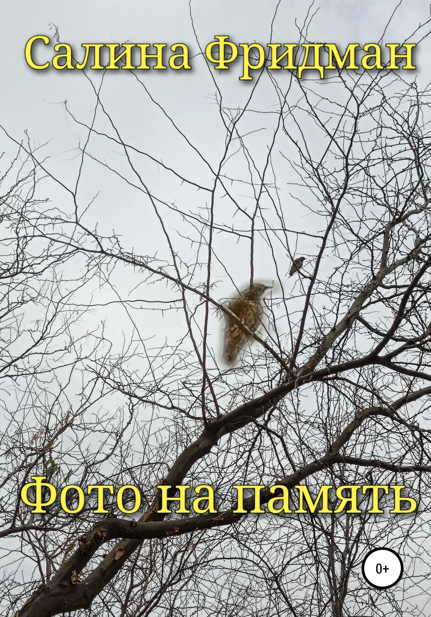 Обложка Фото на память