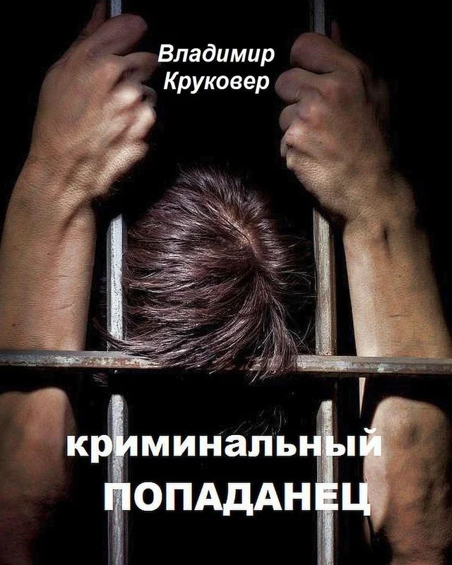 Обложка Криминальный попаданец